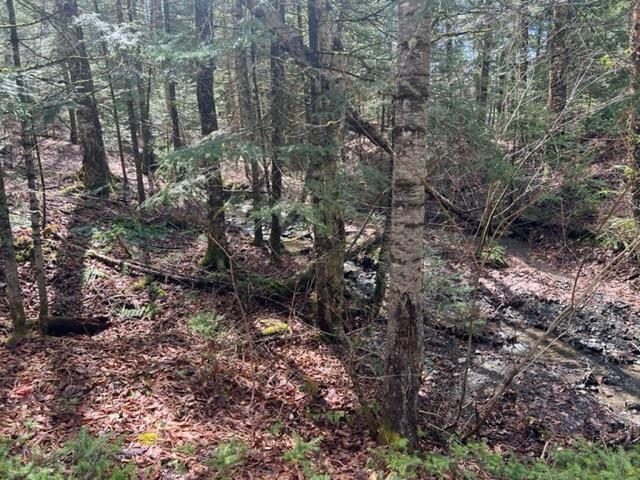 A5-49 Town Line Road Stewartstown, NH 03576 - Photo 12 of 13 Gallery Image 12