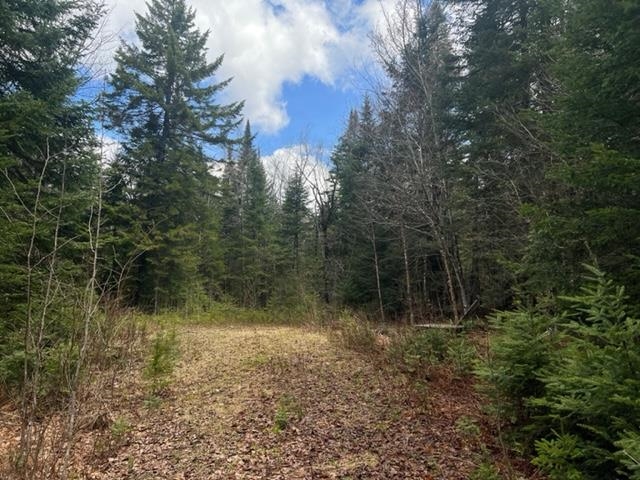 A5-49 Town Line Road Stewartstown, NH 03576 - Photo 8 of 13 Gallery Image 8
