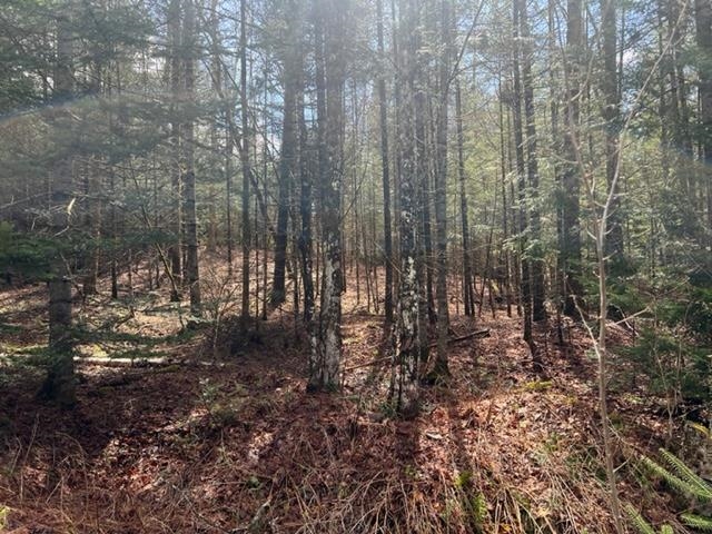 A5-49 Town Line Road Stewartstown, NH 03576 - Photo 9 of 13 Gallery Image 9