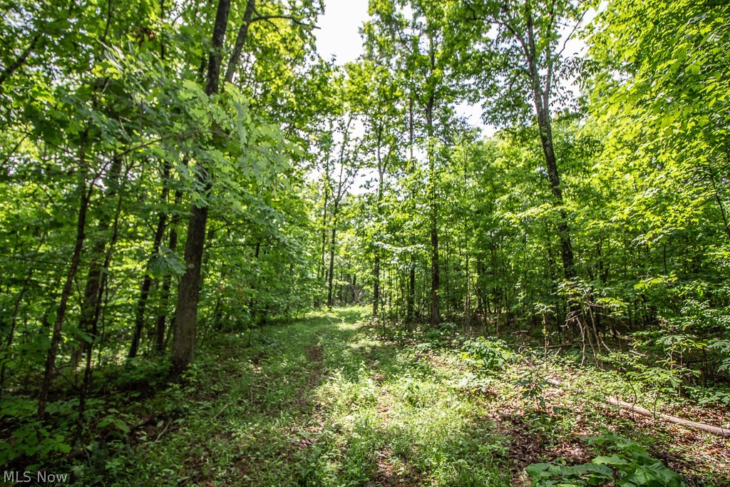 424 Dry Ridge Road Patriot, OH 45658 - Photo 19 of 20 Gallery Image 19