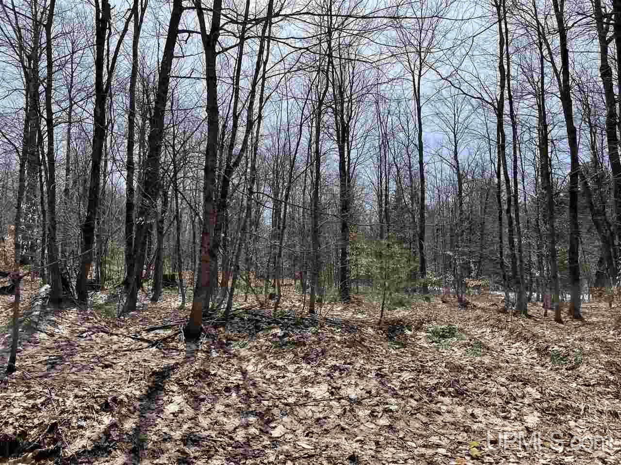 0 Old Seney Road Seney, MI 49883 - Photo 25 of 31