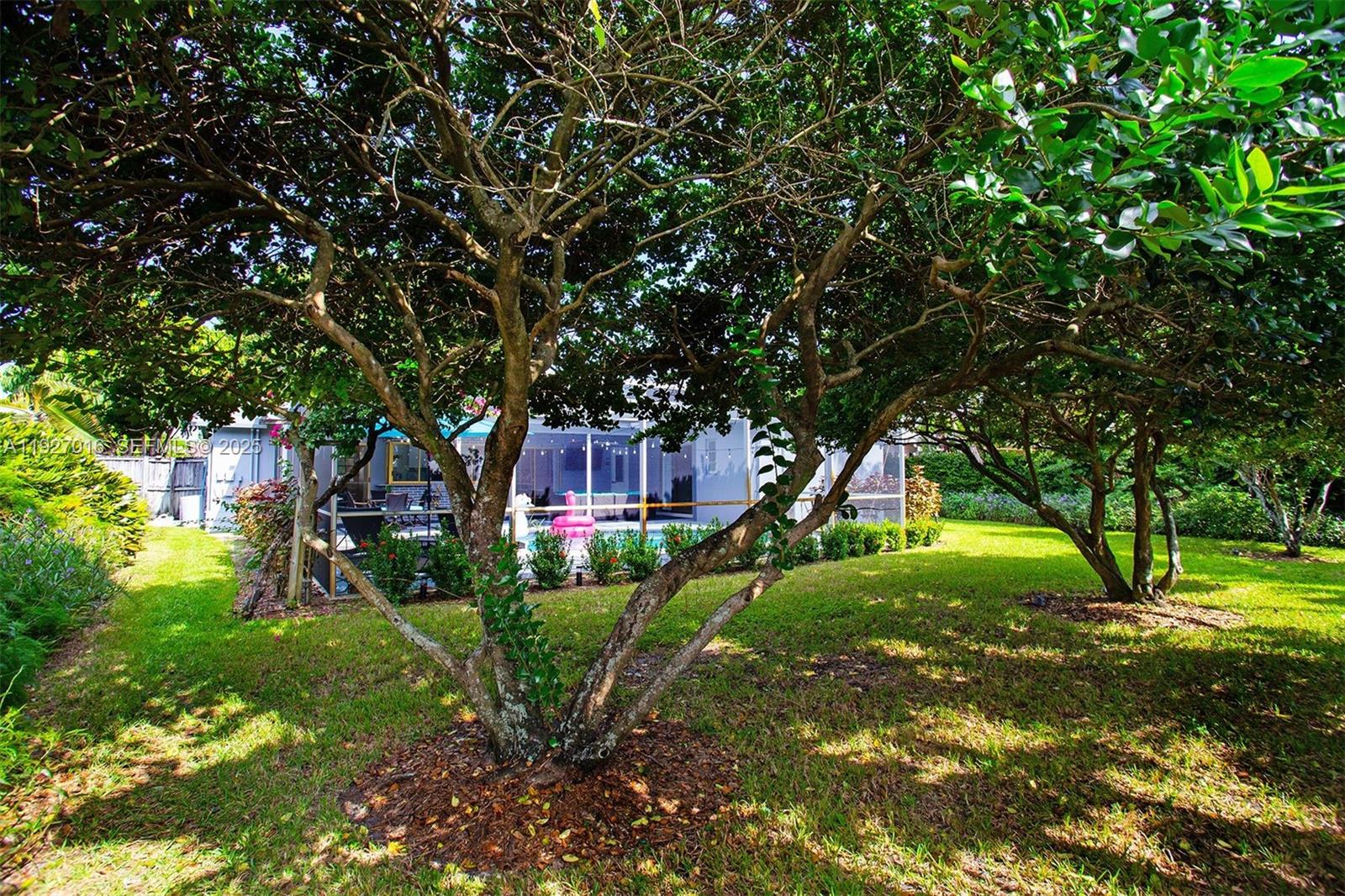 4316 Jackson Street Hollywood, FL 33021 - Photo 30 of 31 a backyard of a house with lots of plants and large trees