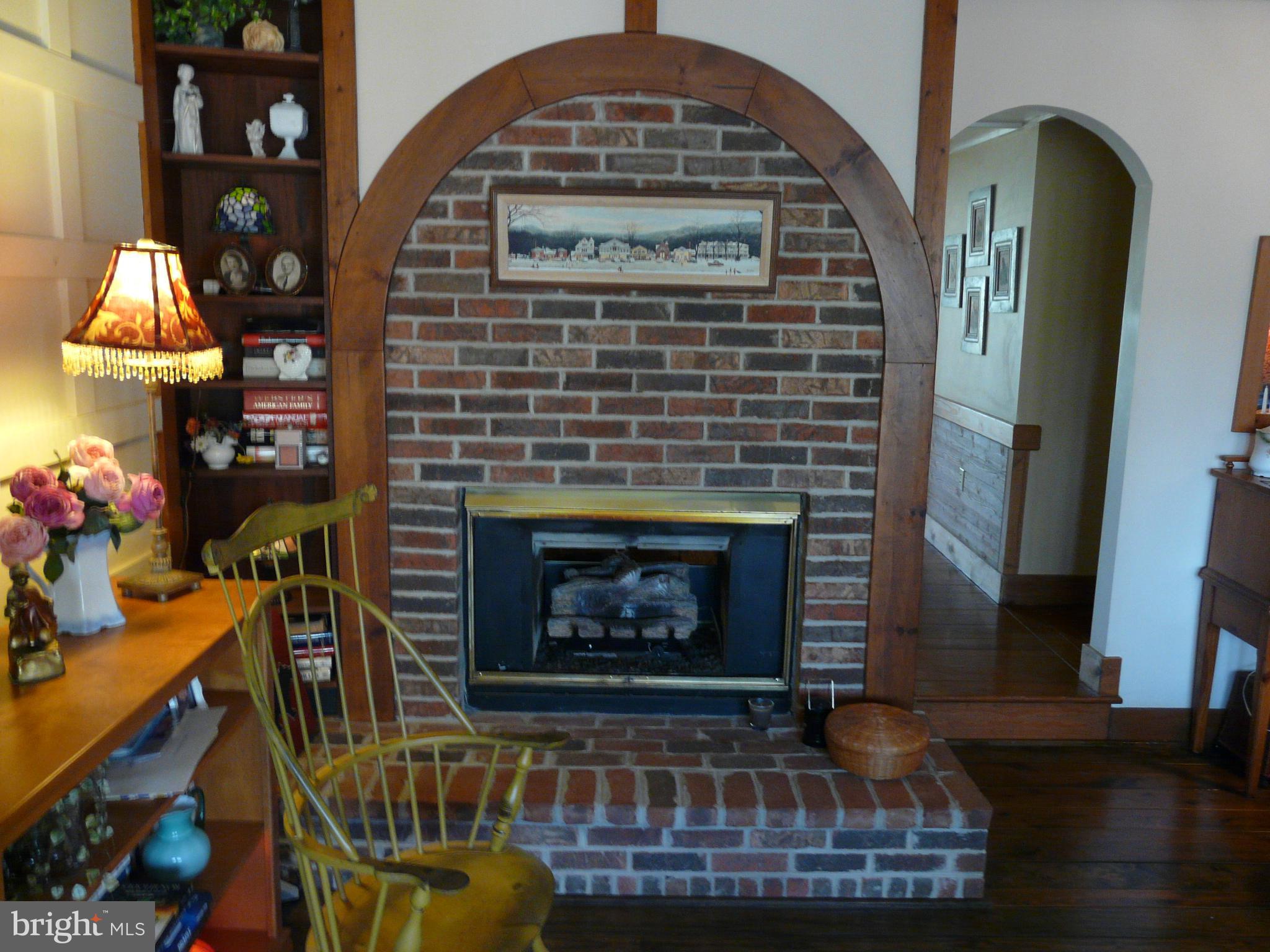 177 Connie Road Basye, VA 22810 - Photo 14 of 86 gas see-thru fireplacce