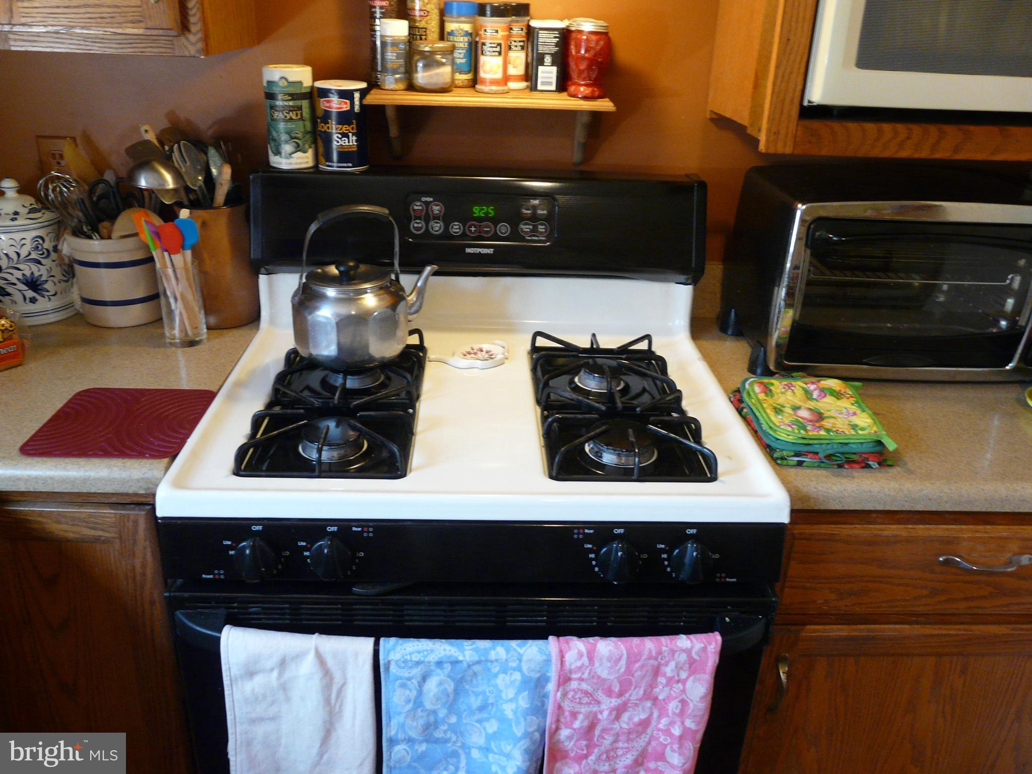 177 Connie Road Basye, VA 22810 - Photo 31 of 86 gas range