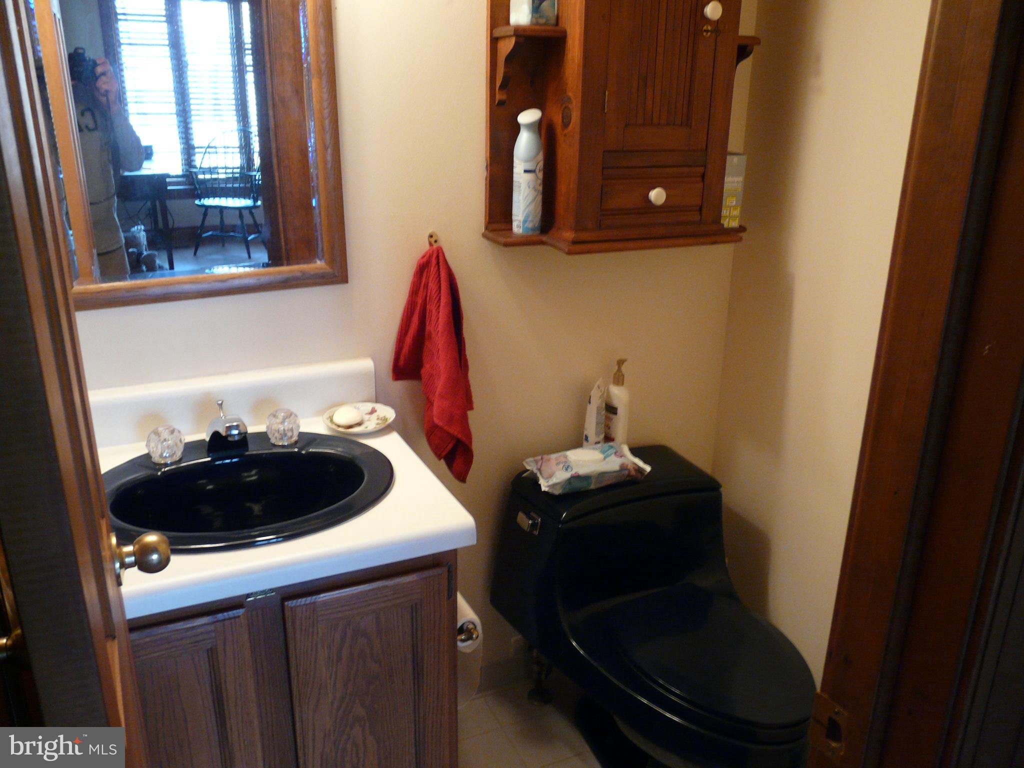 177 Connie Road Basye, VA 22810 - Photo 32 of 86 powder room
