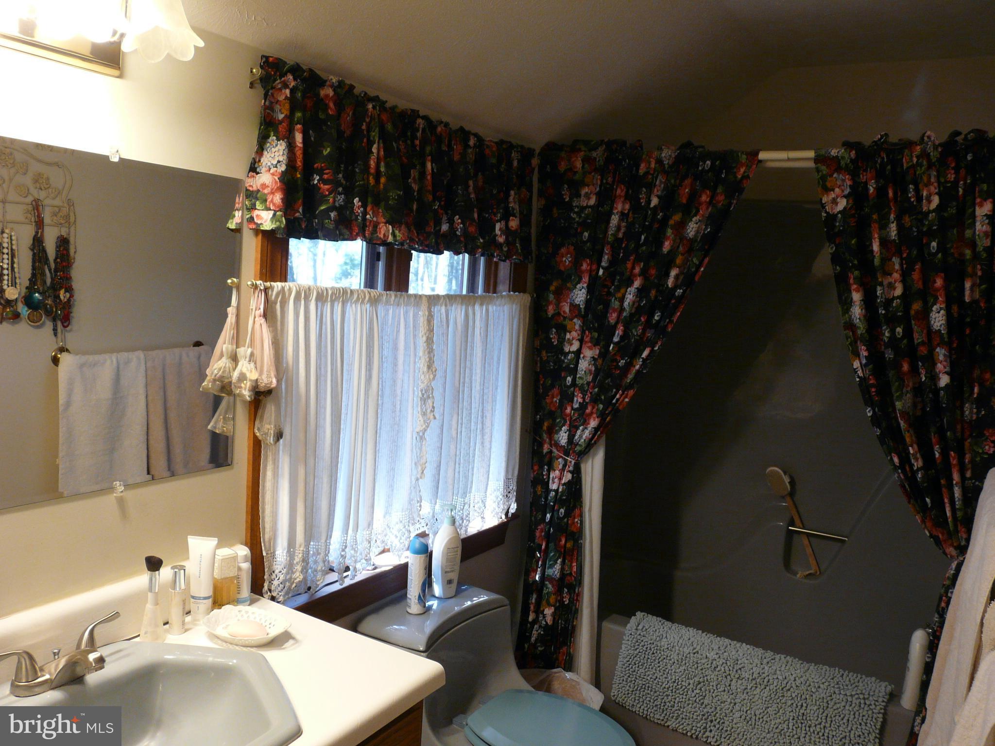 177 Connie Road Basye, VA 22810 - Photo 60 of 86 bath 2