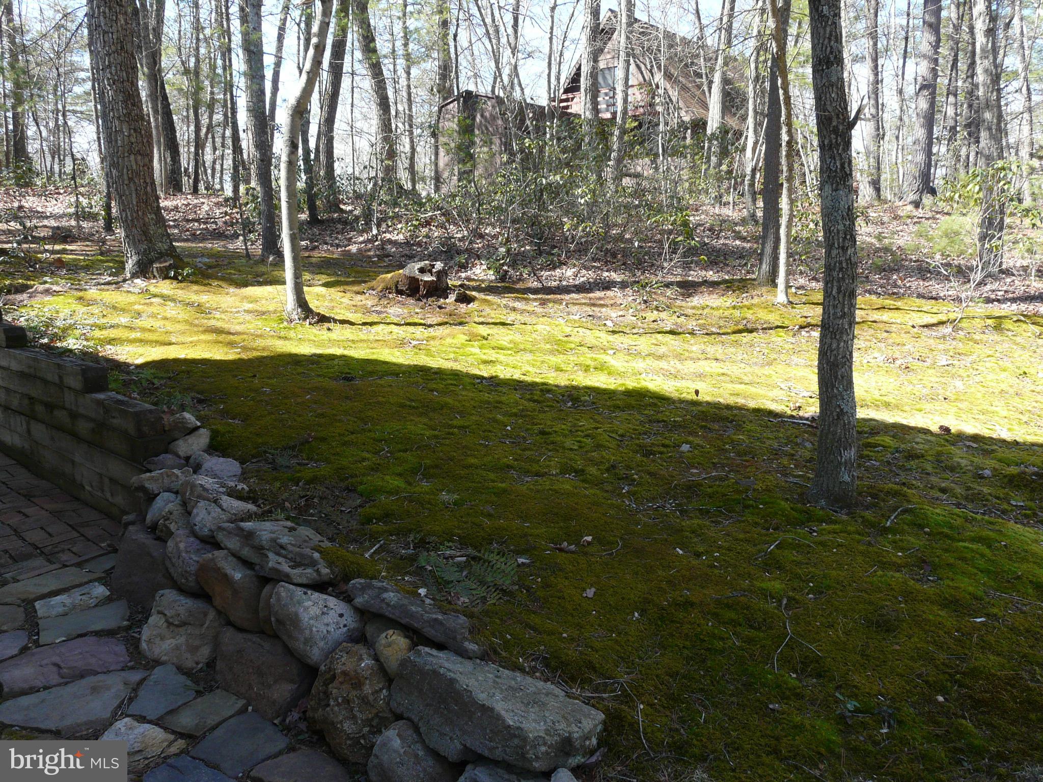 177 Connie Road Basye, VA 22810 - Photo 72 of 86 Gallery Image 72