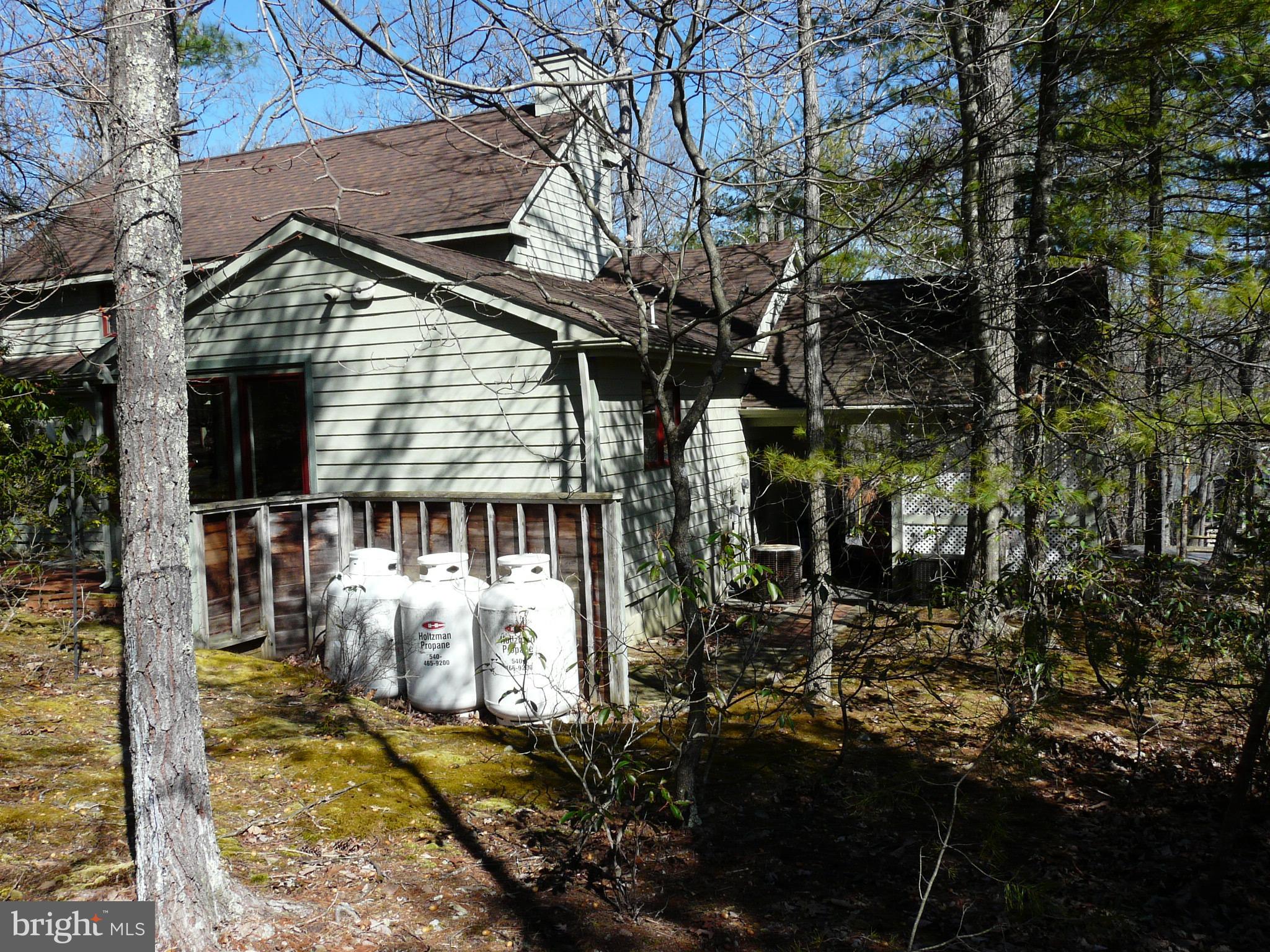 177 Connie Road Basye, VA 22810 - Photo 78 of 86 Gallery Image 78