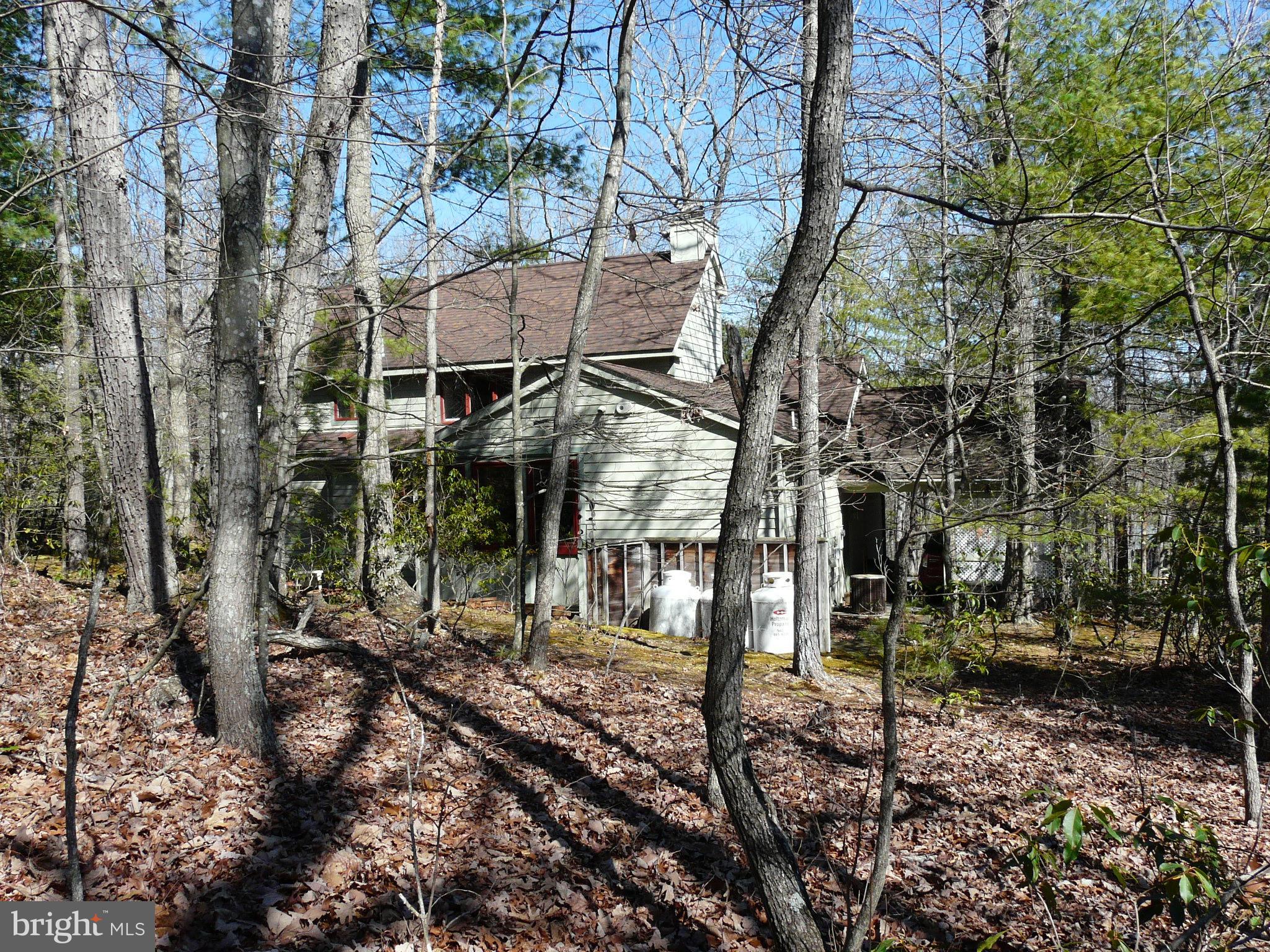 177 Connie Road Basye, VA 22810 - Photo 79 of 86 Gallery Image 79