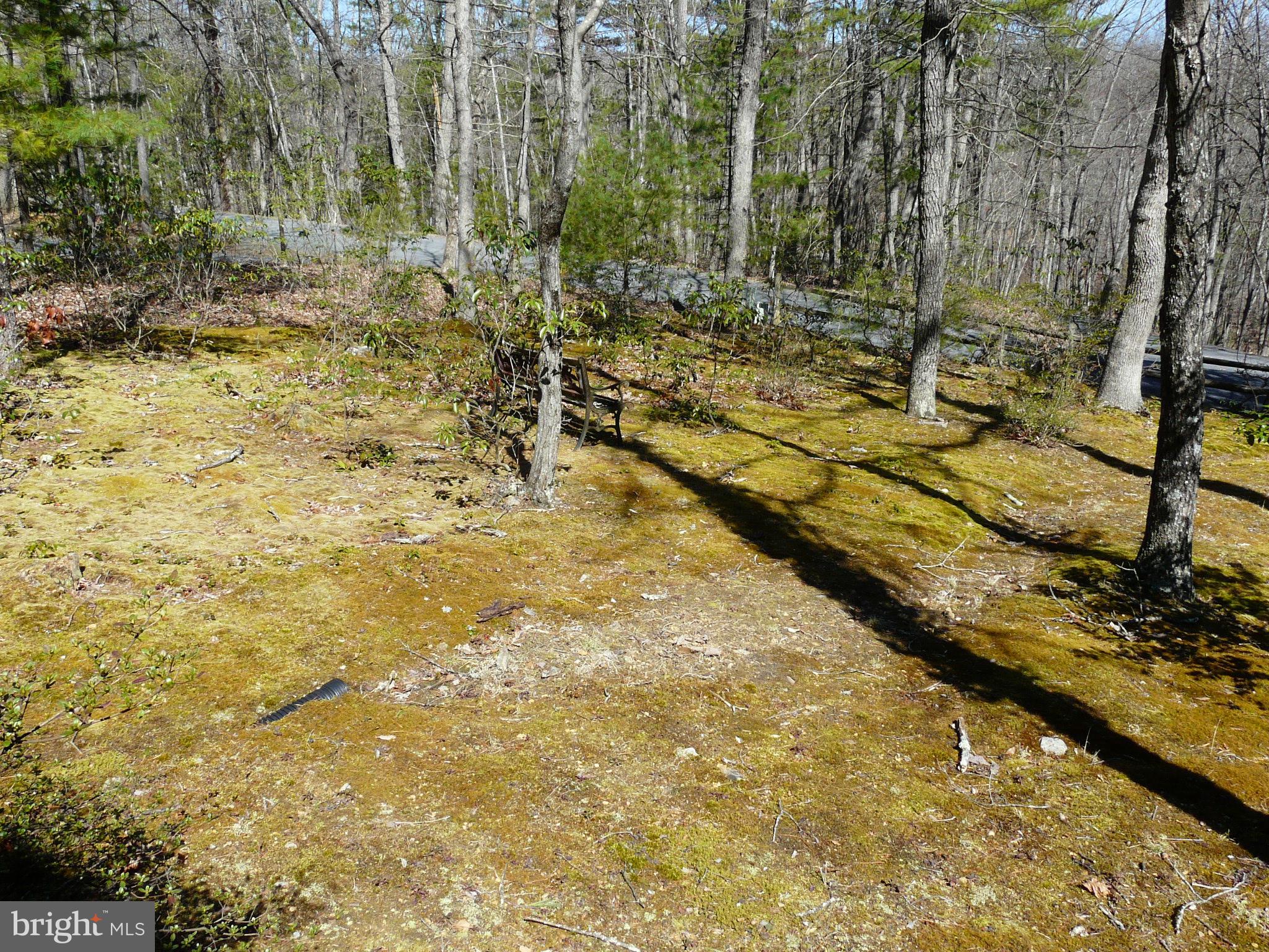177 Connie Road Basye, VA 22810 - Photo 86 of 86 Gallery Image 86