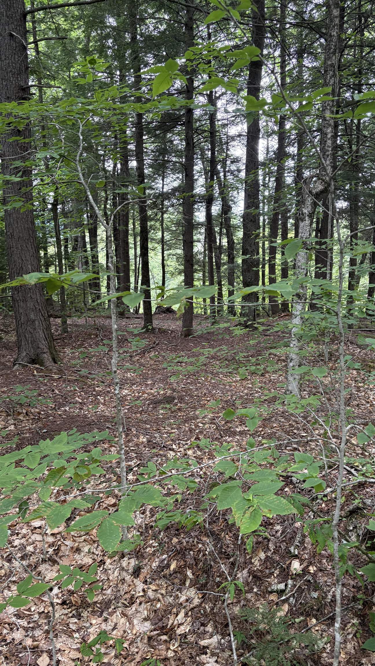17 Waterthorn Road, Unit 17 Thornton, NH 03285 - Photo 10 of 24 Gallery Image 10