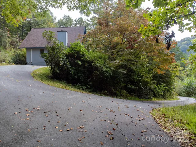 a view of a yard with plants and large trees