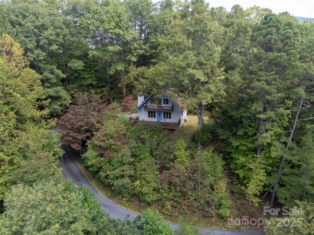 an aerial view of a house with a yard and large trees
