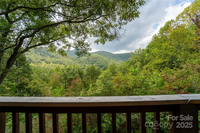 an aerial view of green landscape with trees houses and mountain view