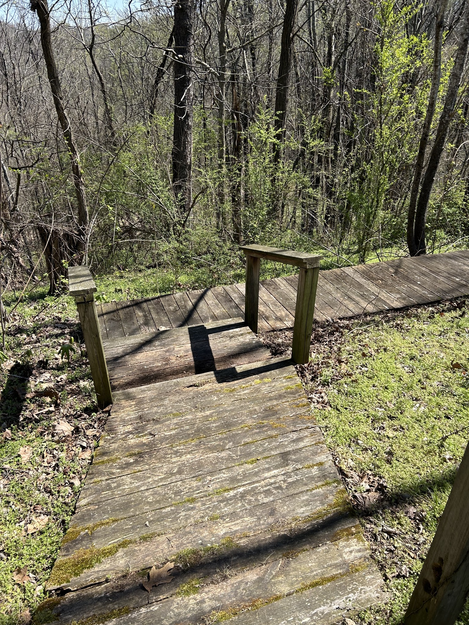 5102 Southpoint Ridge Road Hampshire, TN 38461 - Photo 24 of 41 Gallery Image 24