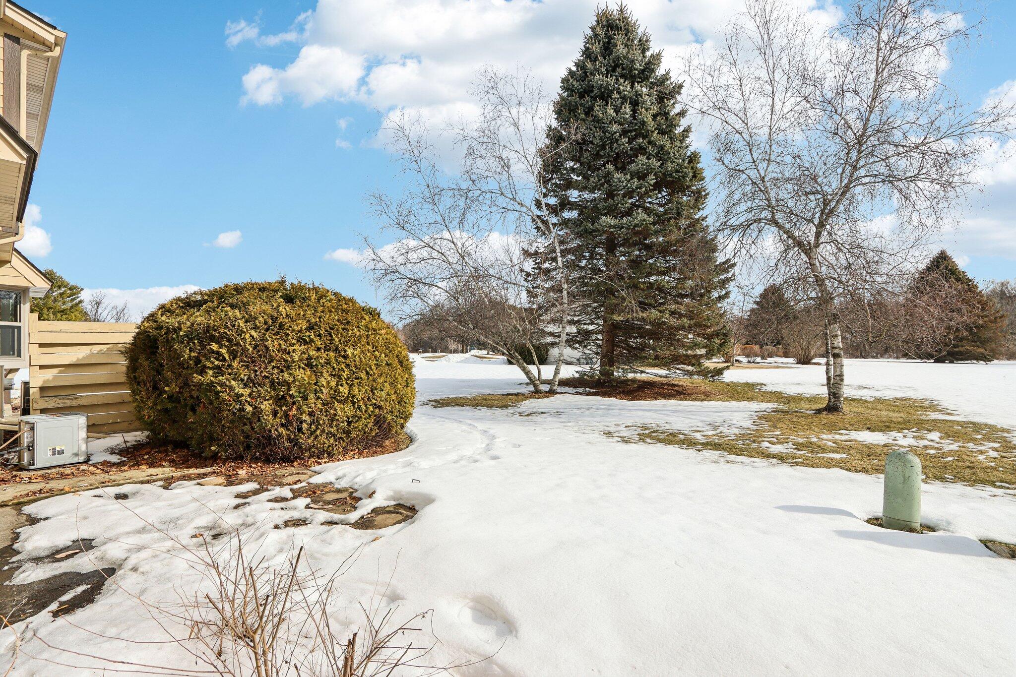 402 South Highland Street, Unit B Wales, WI 53183 - Photo 24 of 30 Backyard