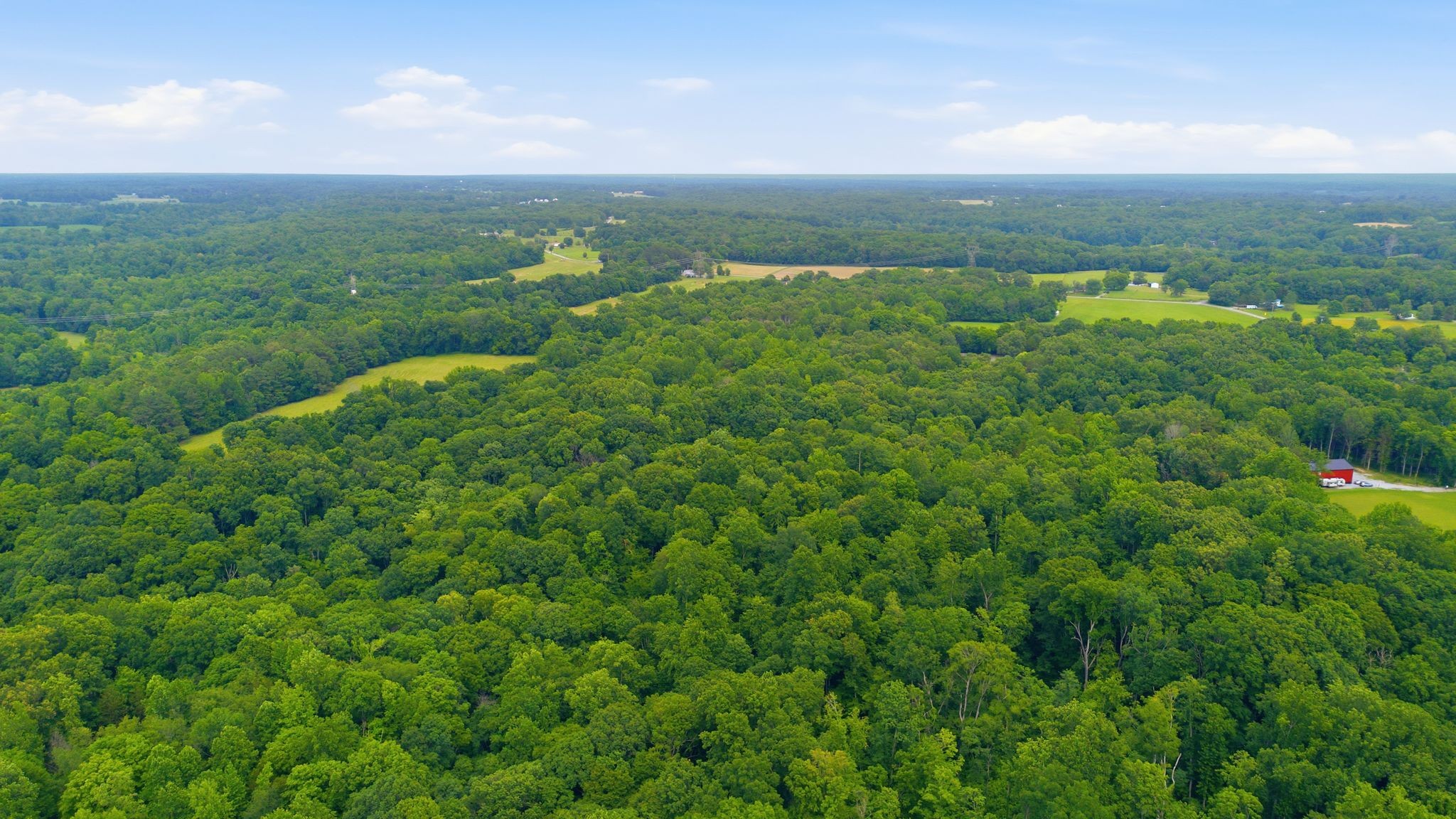 2010 Mosley Ferry Road Chapmansboro, TN 37035 - Photo 48 of 53