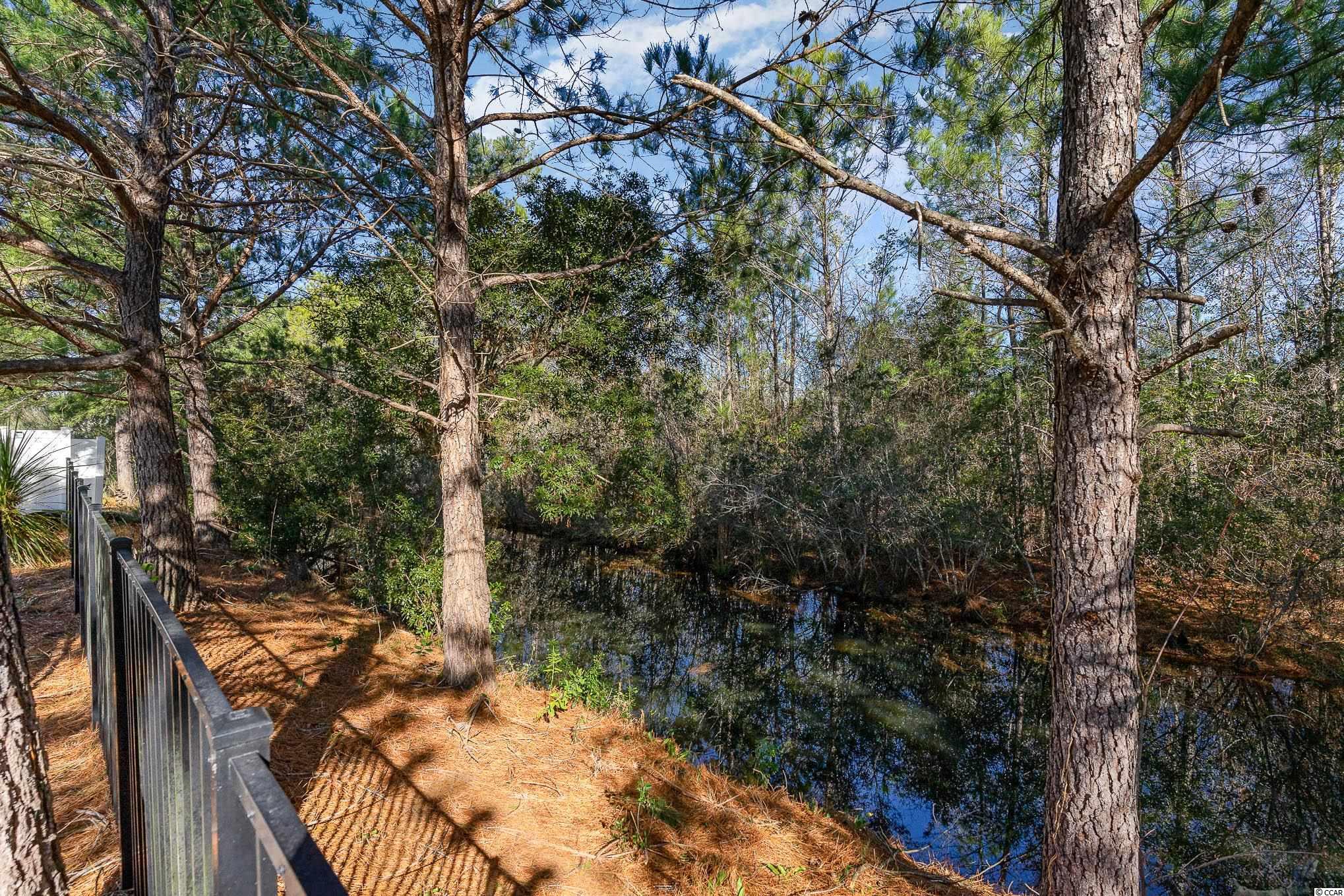 266 Seagrass Loop Myrtle Beach, SC 29588 - Photo 28 of 31 Gallery Image 28