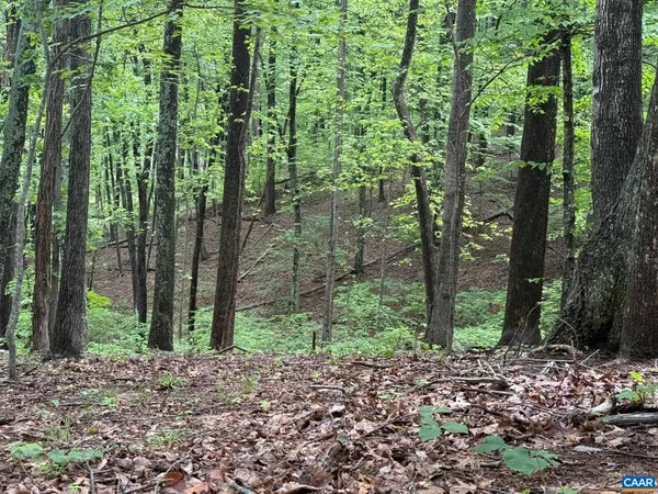 $325,000 | Tbd Rabbit Valley Road, North Garden, VA 22959