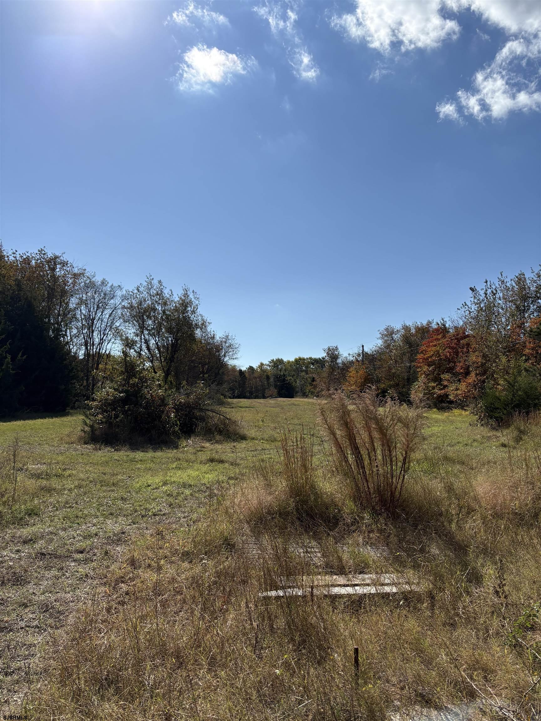 1073 Dragston Road Port Norris, NJ 08349 - Photo 11 of 11 a view of a field