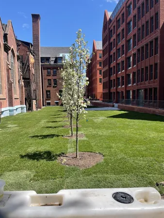 $5,395 | 955 Sterling Place, Unit 415 | Crown Heights