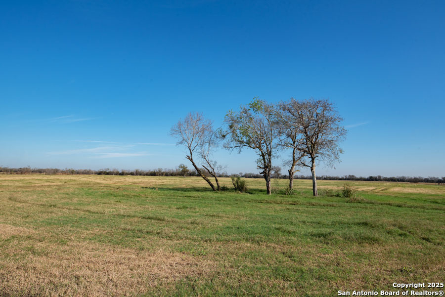 2464 Bolton Road Marion, TX 78124 - Photo 3 of 5 a view of an ocean