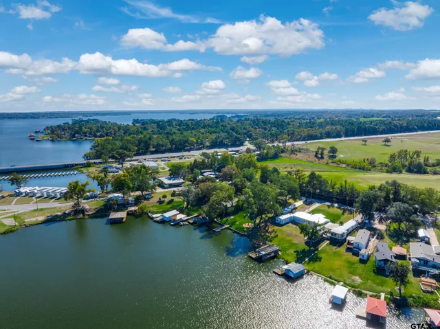 a area with lots of different kinds of flowers