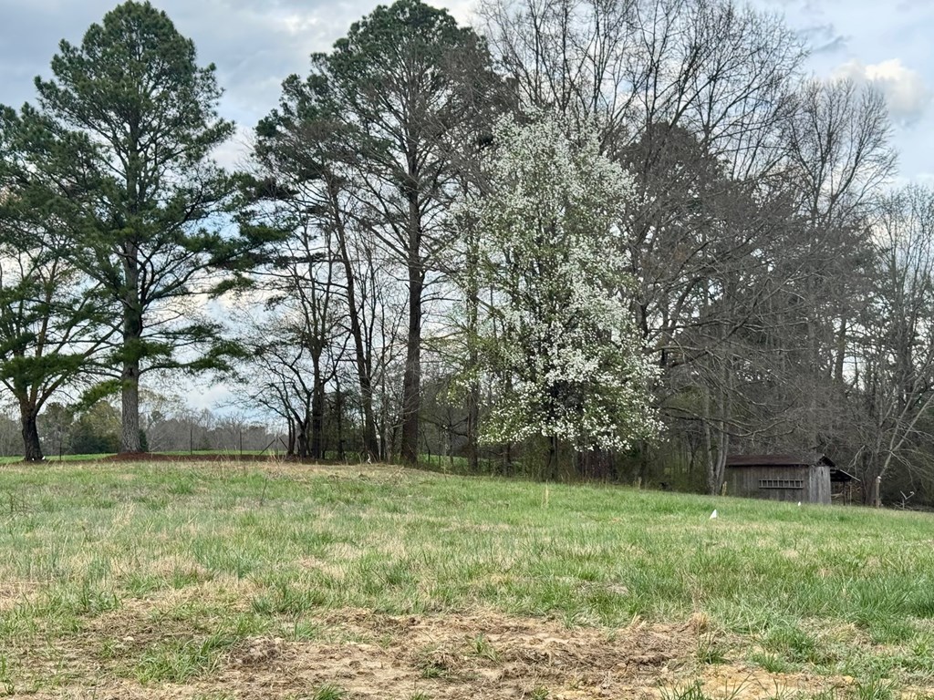 2 Mt Pleasant Road Dalton, GA 30721 - Photo 2 of 3 Gallery Image 2