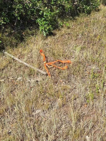 $190,000 | Tbd Lone Cone Mdws Lane, Norwood, CO 81423