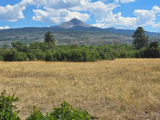 a view of a bird bath