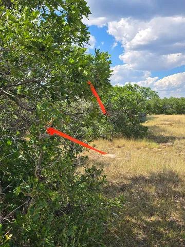 a view of outdoor space with sign board