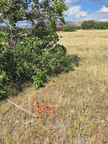 $190,000 | Tbd Lone Cone Mdws Lane, Norwood, CO 81423