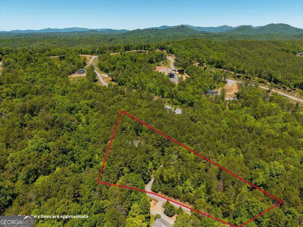 259 The Woods Road, Unit 33 Mineral Bluff, GA 30559 - Photo 50 of 54