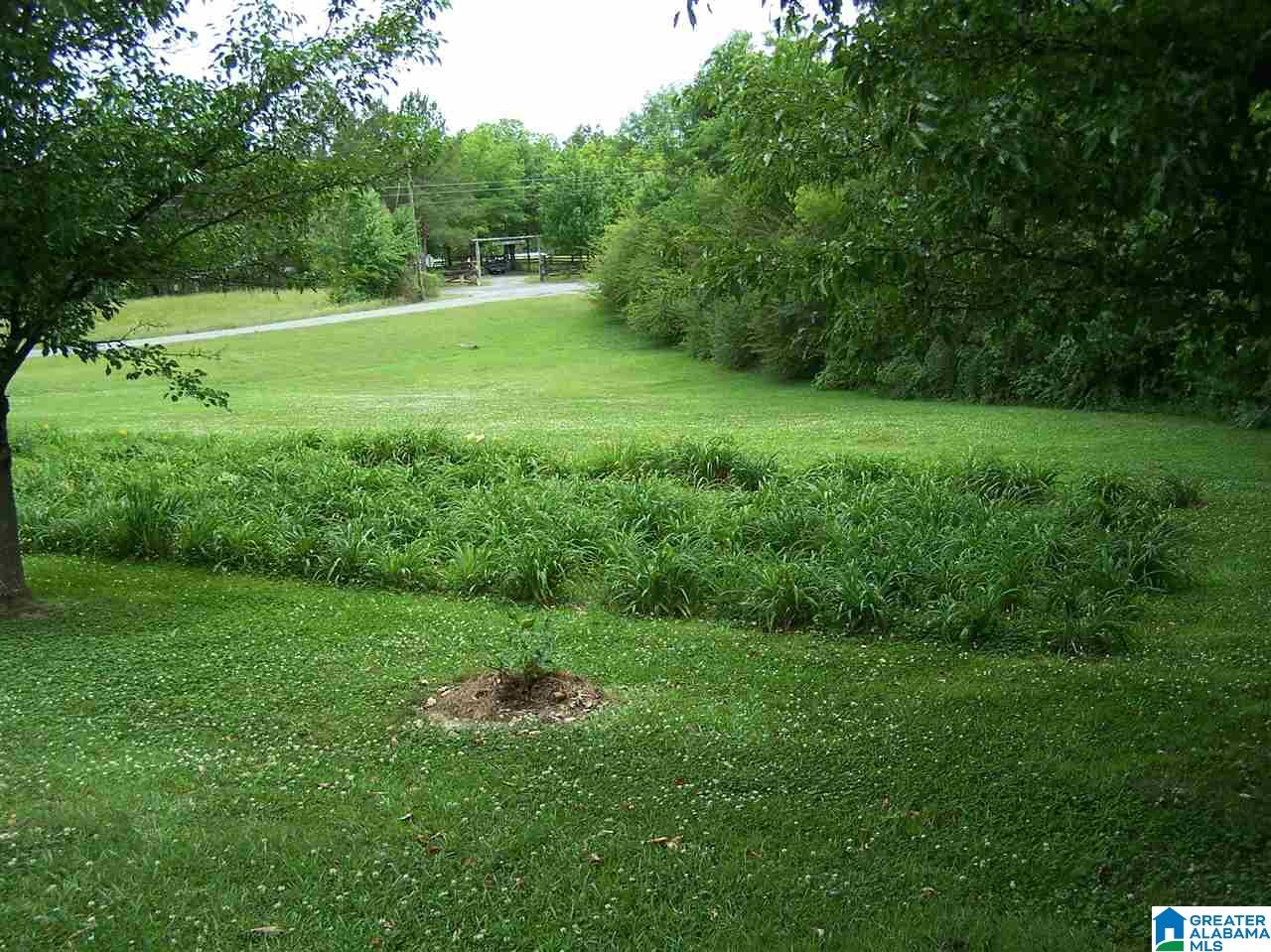 1595 Robin Hill Road Oneonta, AL 35121 - Photo 48 of 48