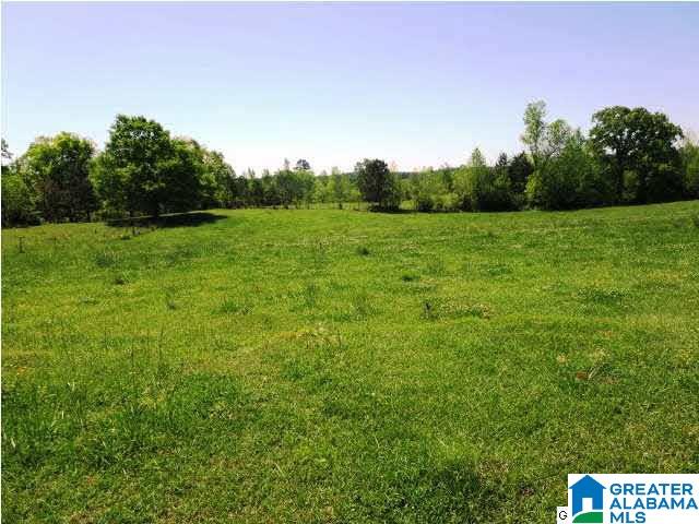 45-acres Driggers Road, Unit 45 AC Lineville, AL 36266 - Photo 7 of 10