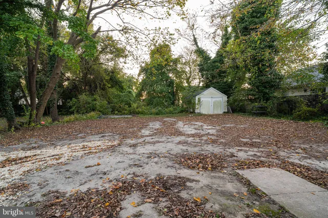 a view of a tiny house with a yard and large trees