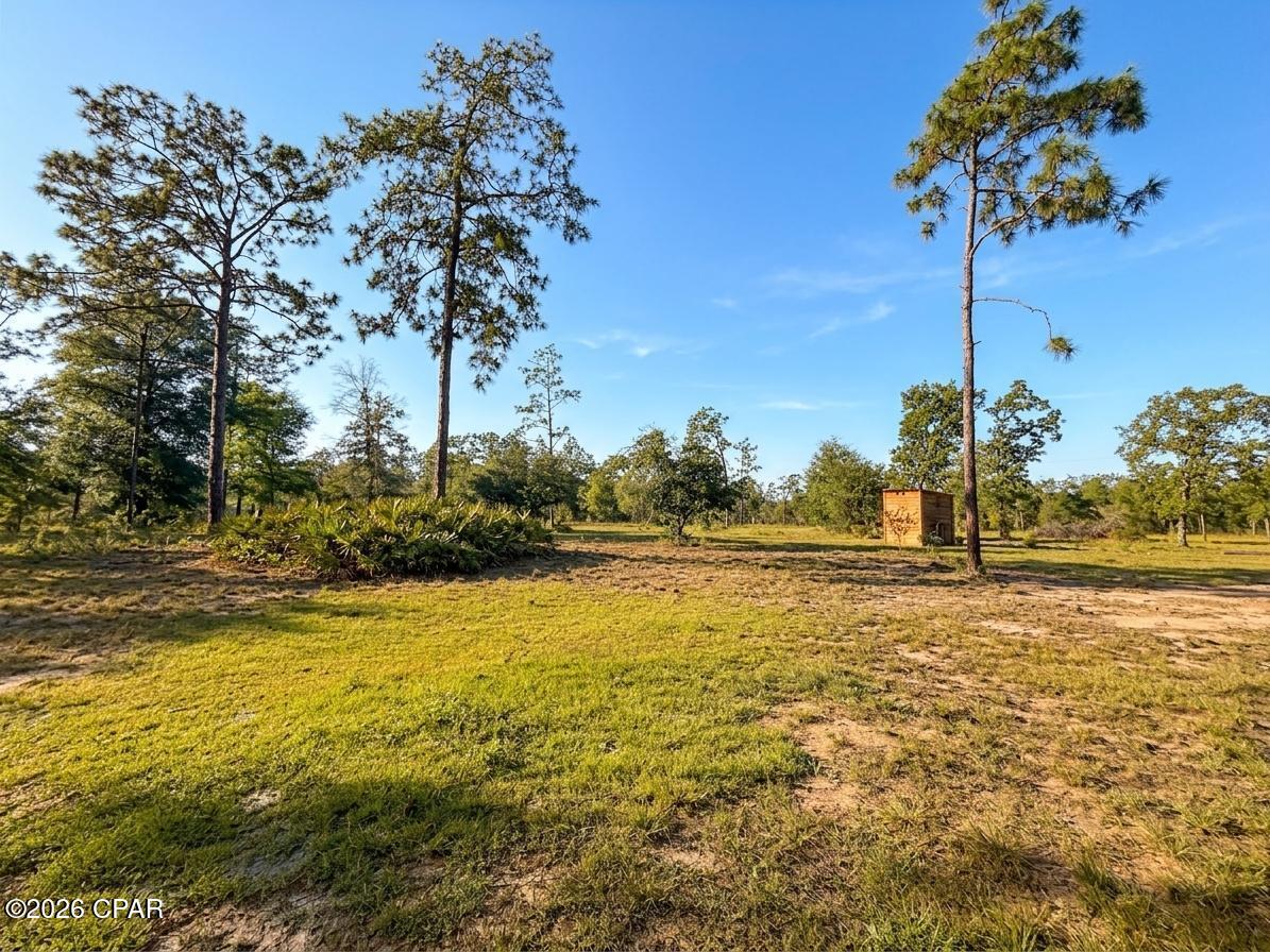 268 Horse Farm Road Marianna, FL 32448 - Photo 19 of 21
