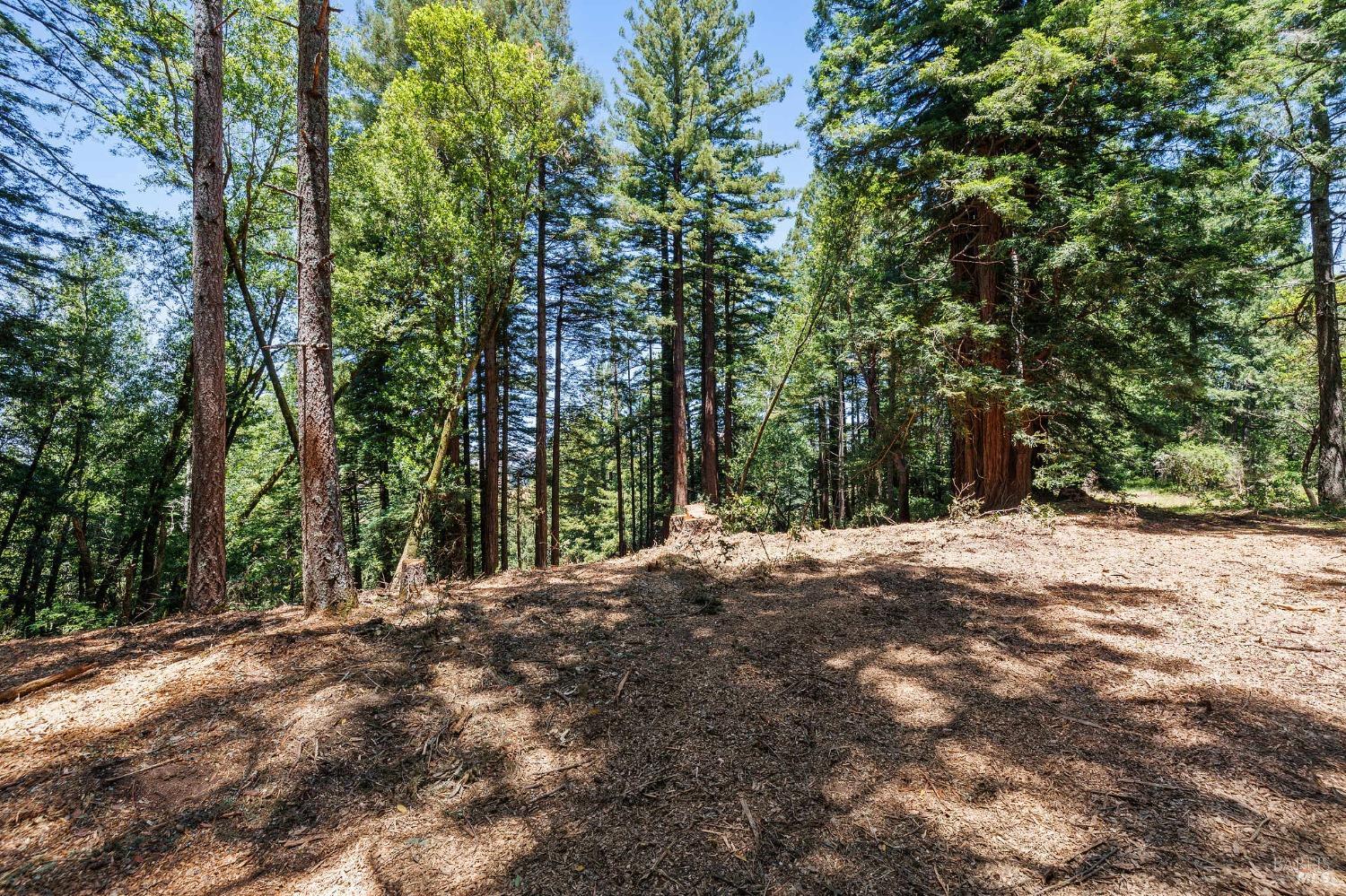 1401 Nicasio Valley Road Nicasio, CA 94946 - Photo 13 of 23