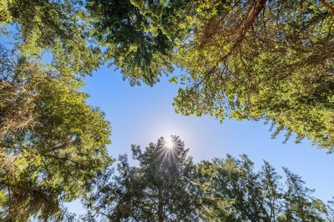 $4,200,000 | 1401 Nicasio Valley Road, Nicasio, CA 94946