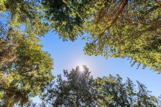 $4,200,000 | 1401 Nicasio Valley Road, Nicasio, CA 94946