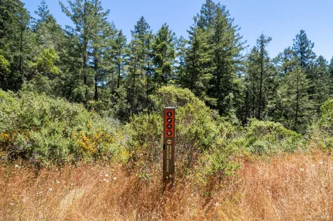 $4,200,000 | 1401 Nicasio Valley Road, Nicasio, CA 94946