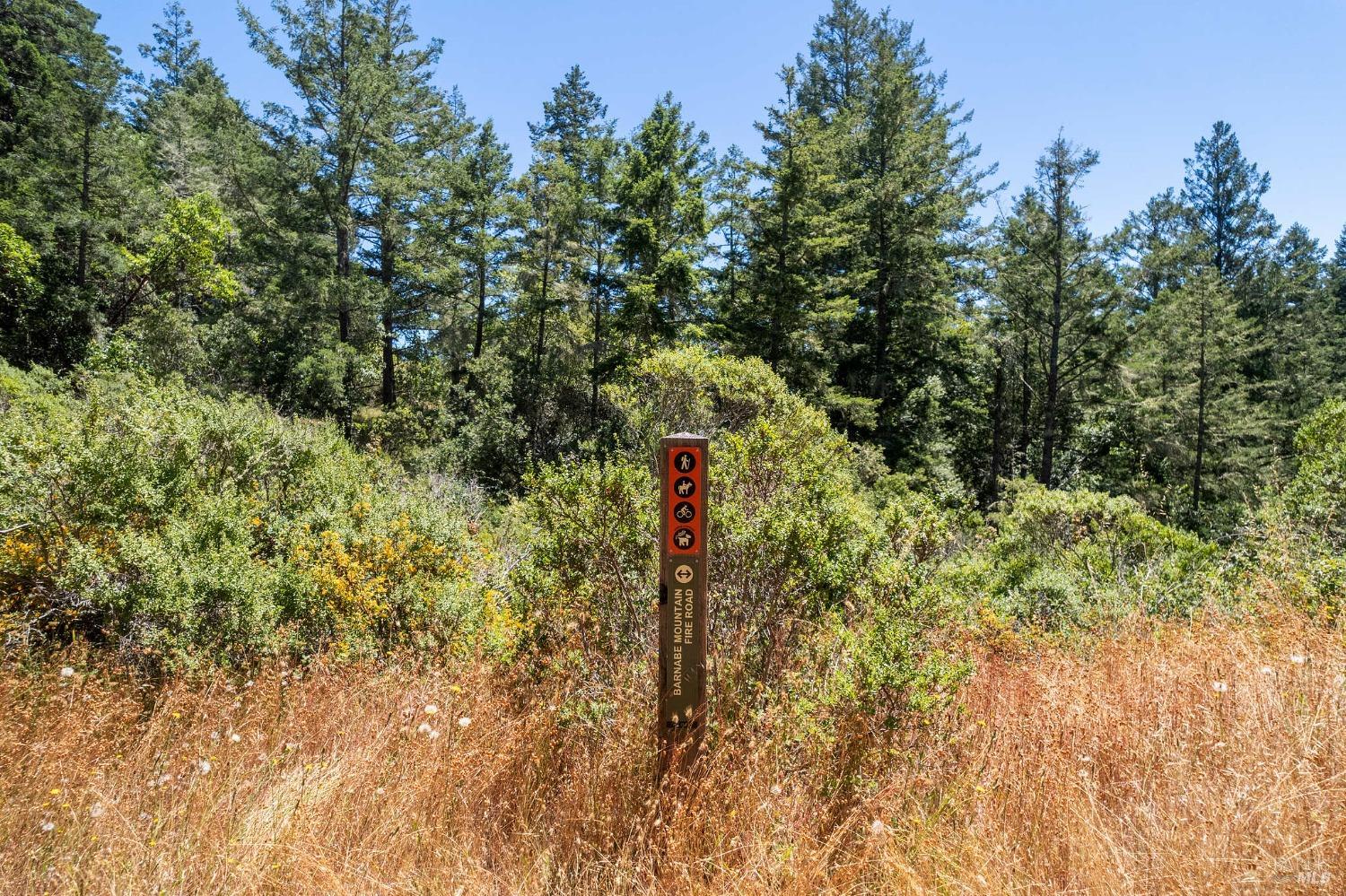 1401 Nicasio Valley Road Nicasio, CA 94946 - Photo 16 of 23