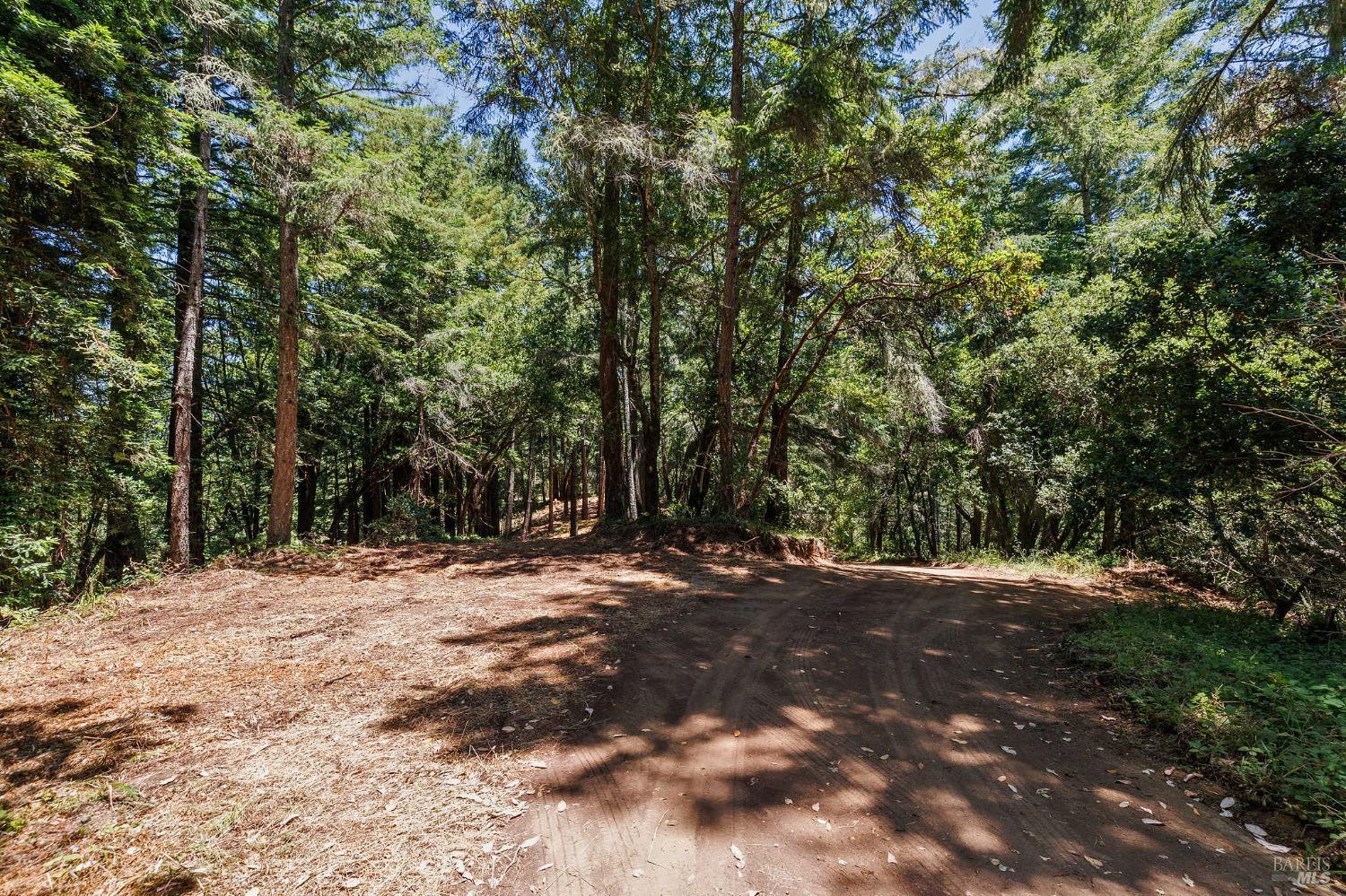 1401 Nicasio Valley Road Nicasio, CA 94946 - Photo 18 of 23