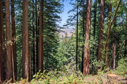 $4,200,000 | 1401 Nicasio Valley Road, Nicasio, CA 94946