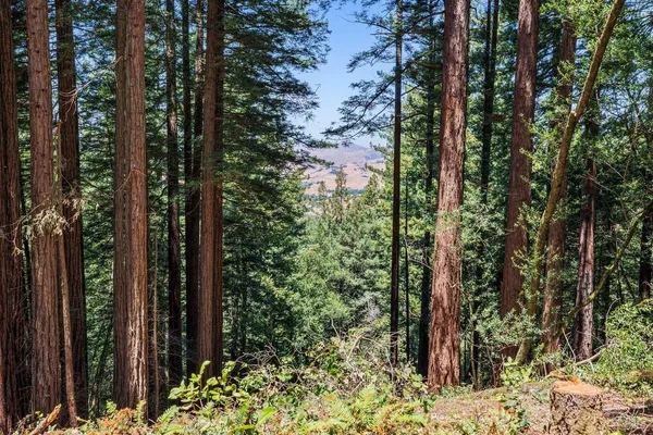 $4,200,000 | 1401 Nicasio Valley Road, Nicasio, CA 94946