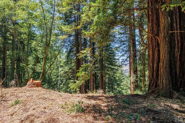 $4,200,000 | 1401 Nicasio Valley Road, Nicasio, CA 94946