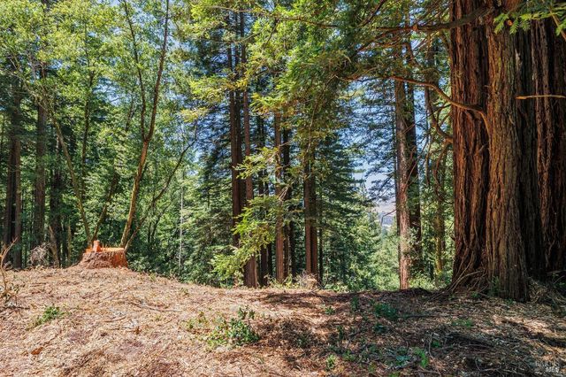 $4,200,000 | 1401 Nicasio Valley Road, Nicasio, CA 94946