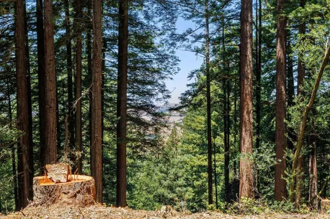 $4,200,000 | 1401 Nicasio Valley Road, Nicasio, CA 94946