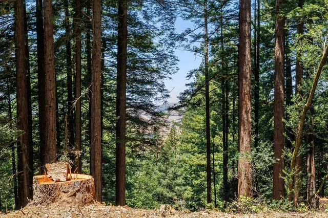 $4,200,000 | 1401 Nicasio Valley Road, Nicasio, CA 94946