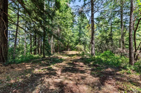 $4,200,000 | 1401 Nicasio Valley Road, Nicasio, CA 94946